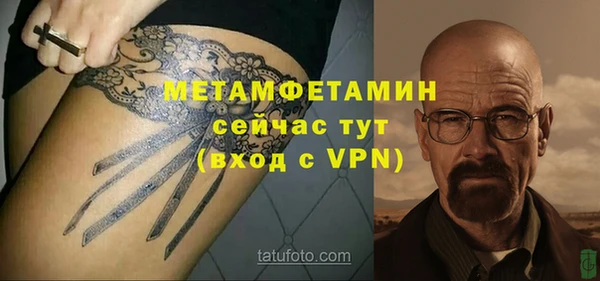 гидра Надым