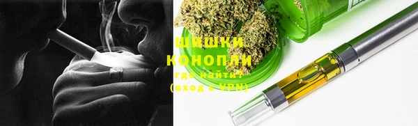 индика Михайловка