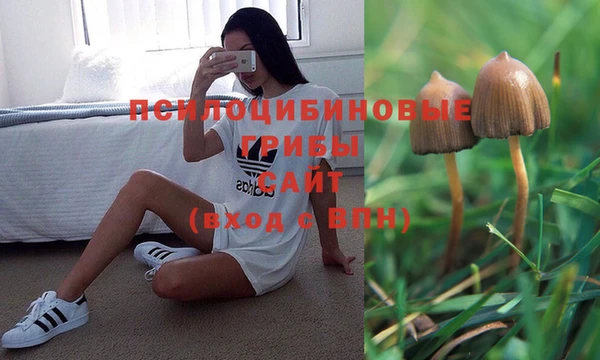 хмурый Алагир