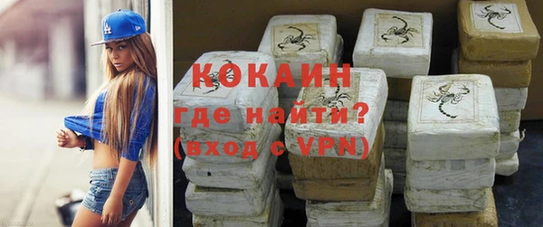 индика Михайловка